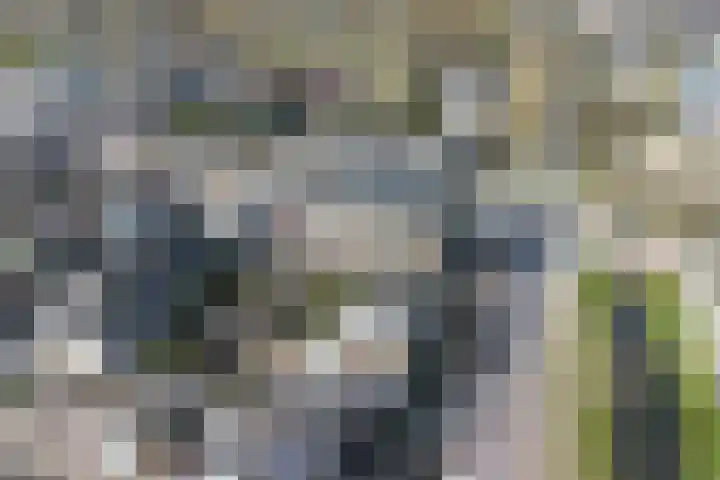 Gouwe 8 Barendrecht thumbnail 36