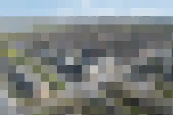 Gouwe 8 Barendrecht thumbnail 38