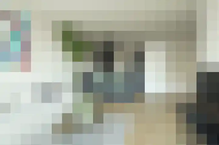 Gouwe 8 Barendrecht thumbnail 5