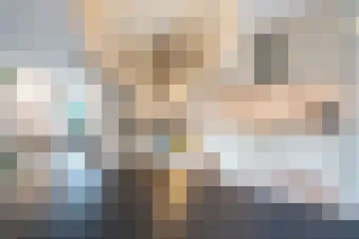 Gouwland 12 Roden thumbnail 17