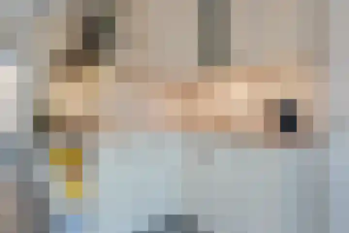 Gouwland 12 Roden thumbnail 18