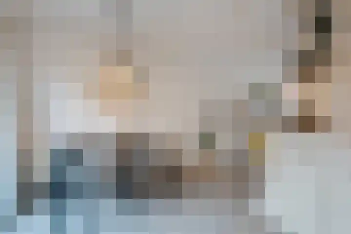 Gouwland 12 Roden thumbnail 19