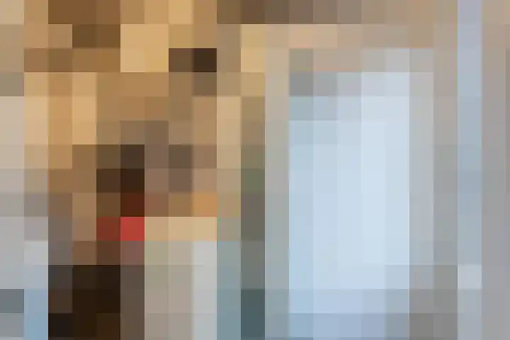 Gouwland 12 Roden thumbnail 20