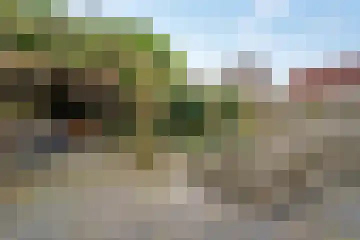 Gouwland 12 Roden thumbnail 21