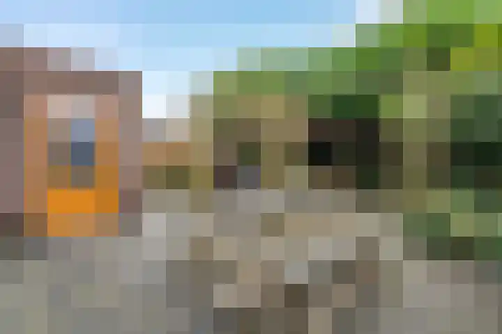 Gouwland 12 Roden thumbnail 22