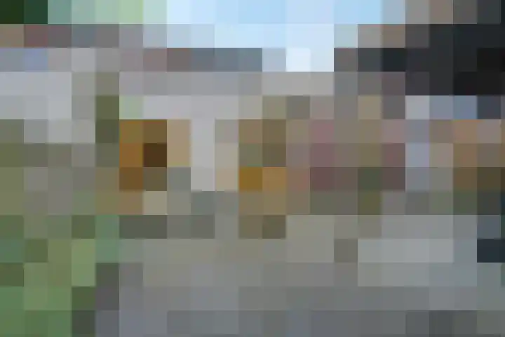 Gouwland 12 Roden thumbnail 25