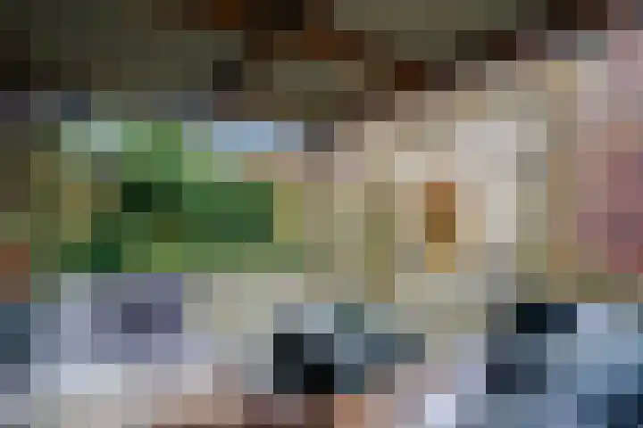 Gouwland 12 Roden thumbnail 26