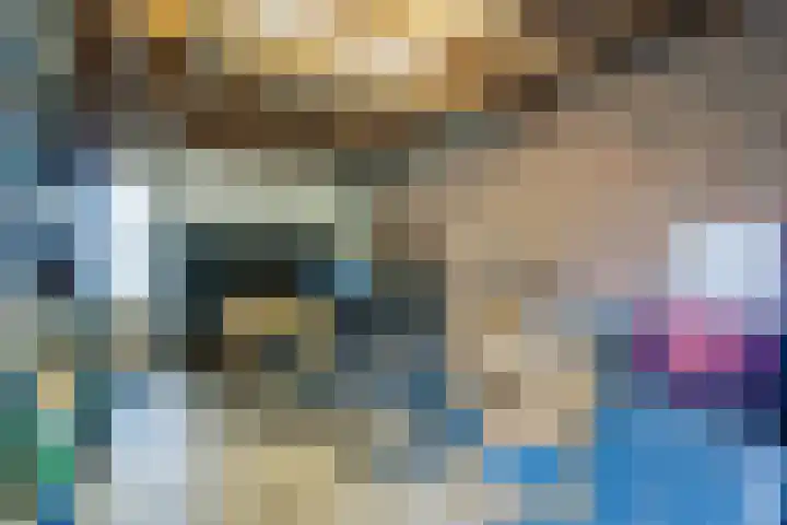 Gouwland 12 Roden thumbnail 27