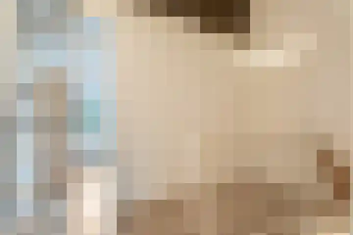 Gouwland 12 Roden thumbnail 28