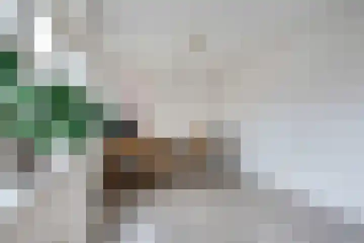 Gouwland 12 Roden thumbnail 31
