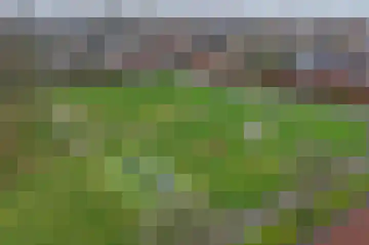 Gouwland 12 Roden thumbnail 39