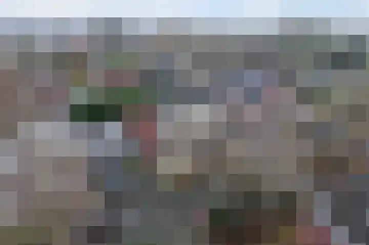 Gouwland 12 Roden thumbnail 40