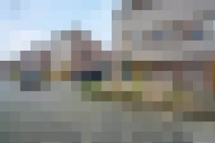 Gouwland 12 Roden thumbnail 5