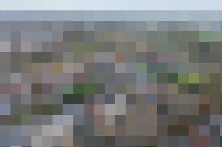 Gouwland 12 Roden thumbnail 6