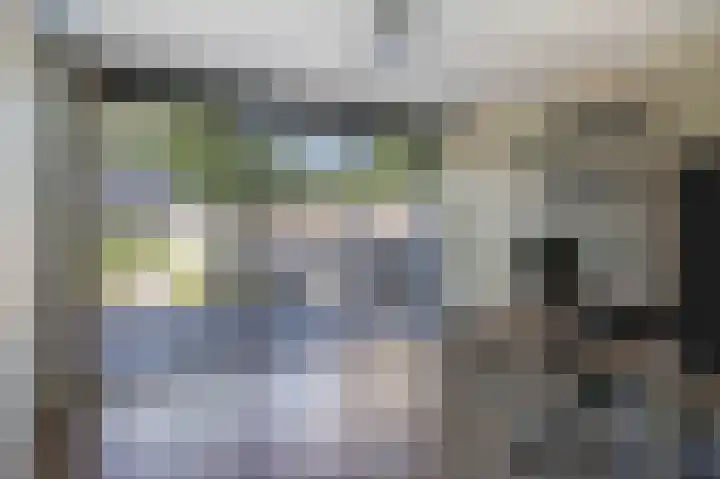 Gouwland 28 Roden thumbnail 19
