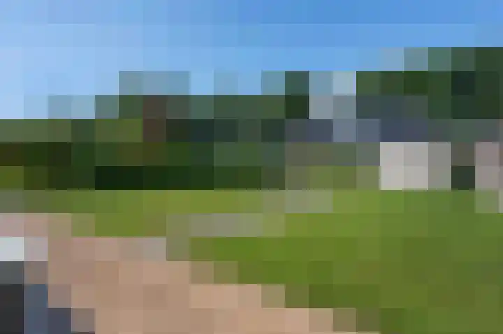 Gouwland 28 Roden thumbnail 21