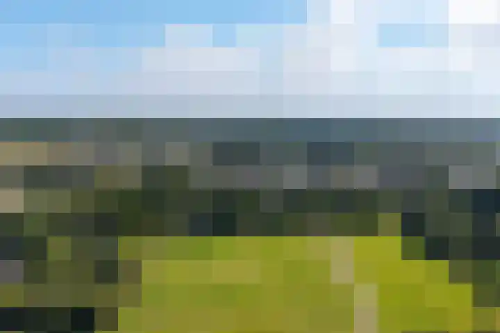 Gouwland 28 Roden thumbnail 50