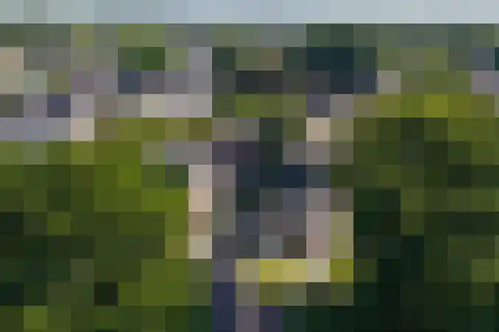 Gouwland 28 Roden thumbnail 51
