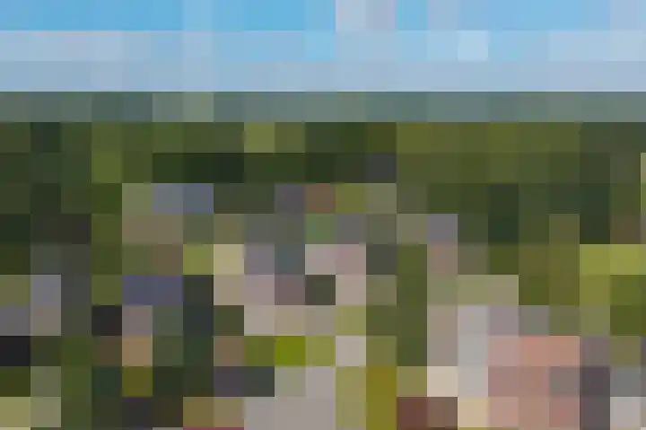 Gouwland 28 Roden thumbnail 55