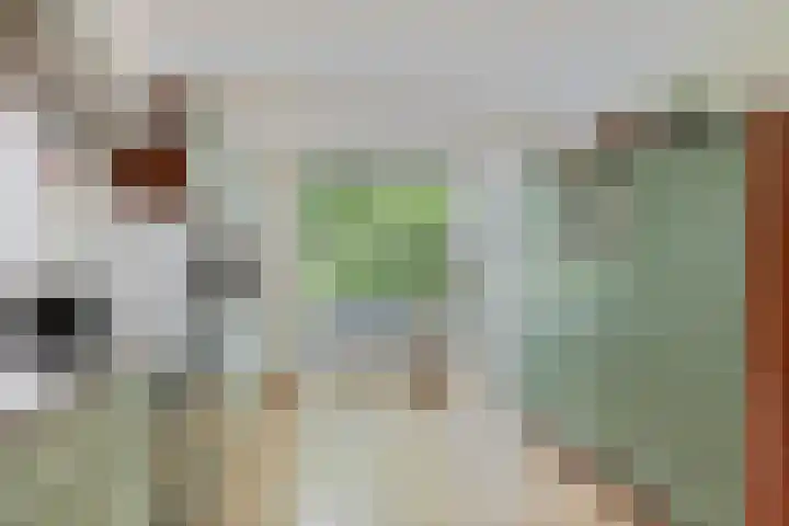 Goyastraat 9 Almere thumbnail 12
