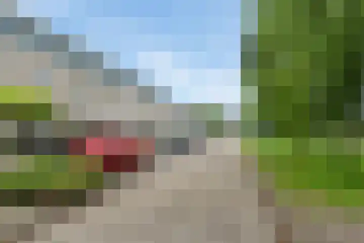 Goyastraat 9 Almere thumbnail 39