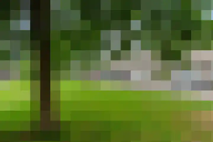 Goyastraat 9 Almere thumbnail 40