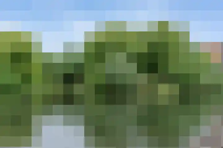 Goyastraat 9 Almere thumbnail 42