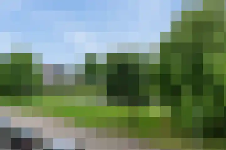 Goyastraat 9 Almere thumbnail 43
