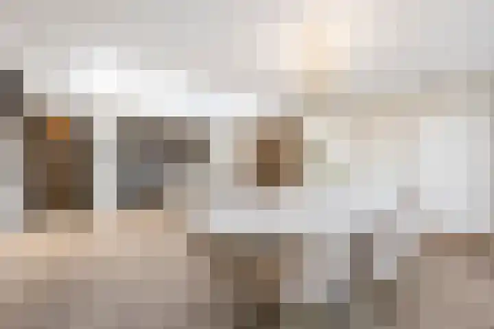 Graaf 40 Echt thumbnail 10