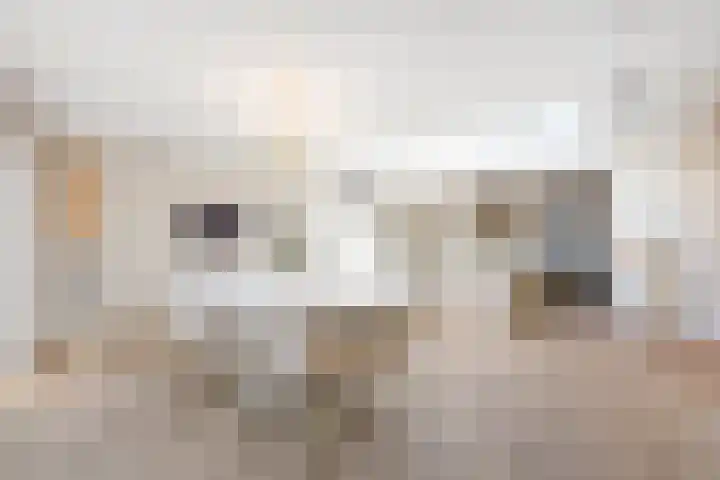 Graaf 40 Echt thumbnail 11