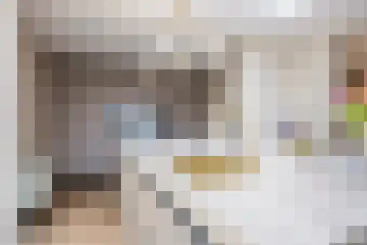 Graaf 40 Echt thumbnail 12