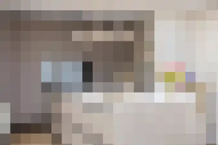 Graaf 40 Echt thumbnail 13