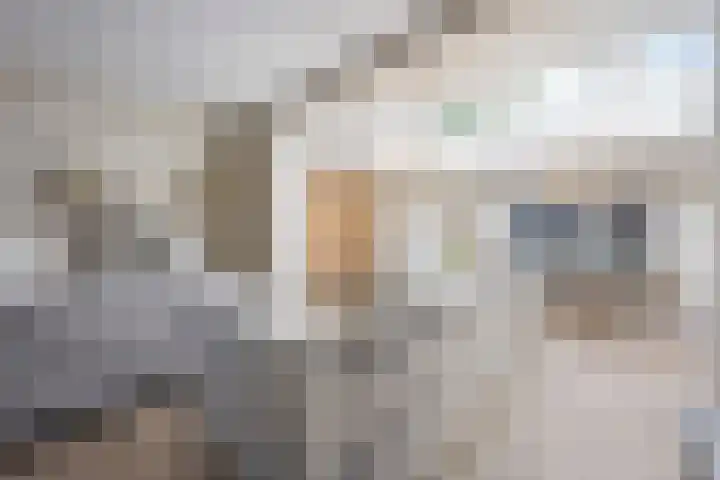 Graaf 40 Echt thumbnail 16