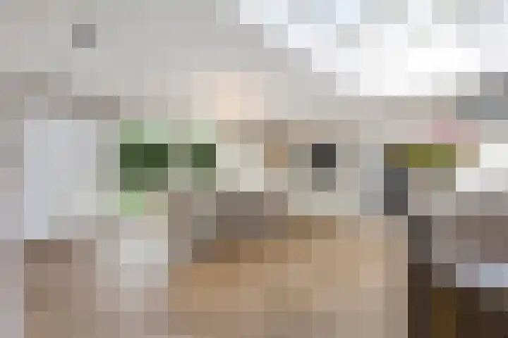 Graaf 40 Echt thumbnail 17