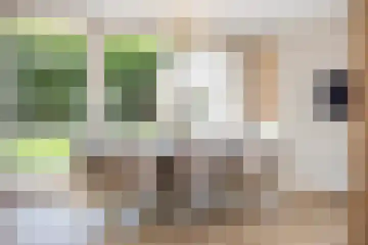 Graaf 40 Echt thumbnail 18
