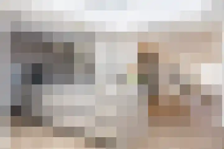 Graaf 40 Echt thumbnail 20