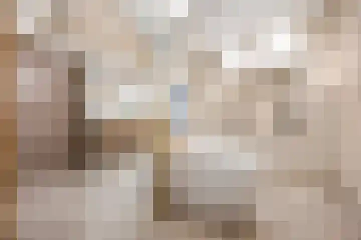 Graaf 40 Echt thumbnail 26