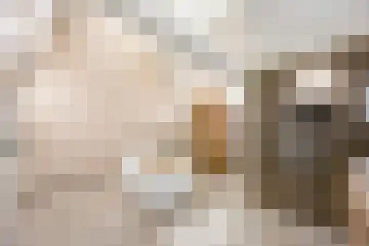 Graaf 40 Echt thumbnail 27