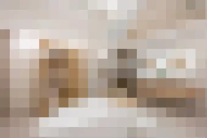 Graaf 40 Echt thumbnail 28