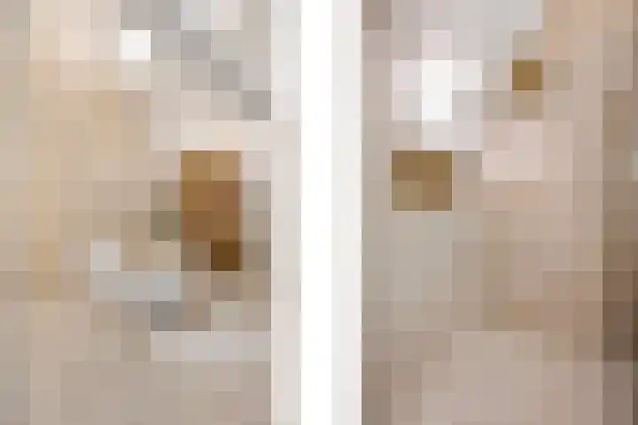 Graaf 40 Echt thumbnail 31