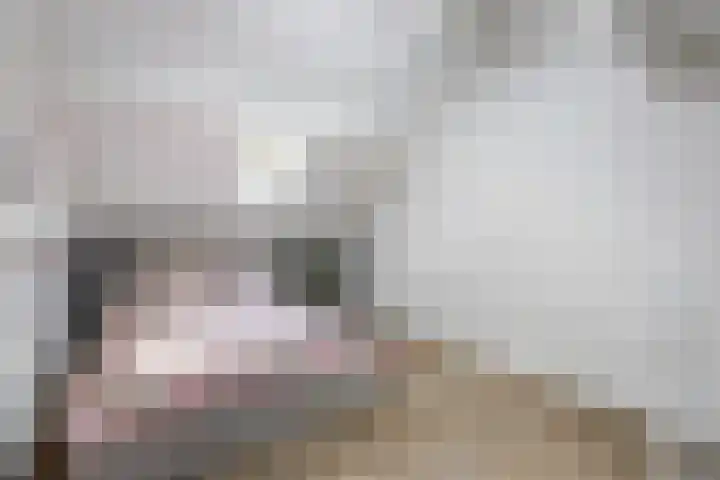 Graaf 40 Echt thumbnail 34