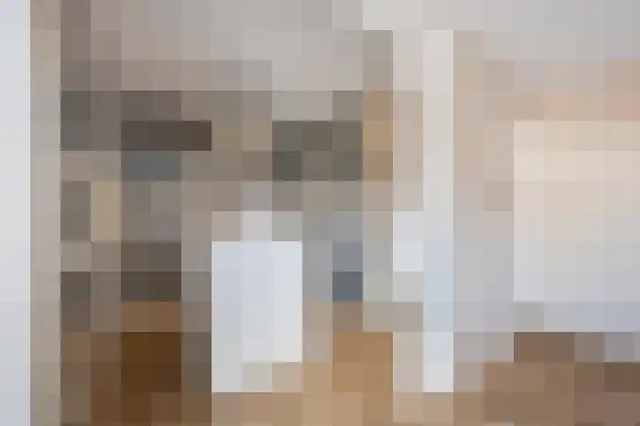 Graaf 40 Echt thumbnail 37