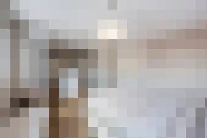 Graaf 40 Echt thumbnail 38