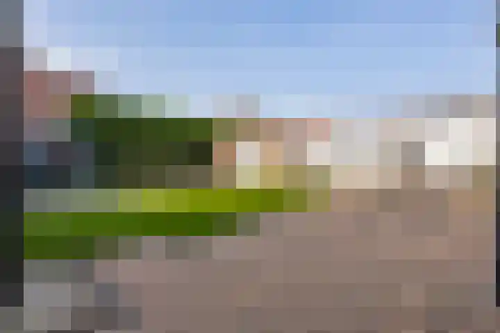 Graaf 40 Echt thumbnail 46