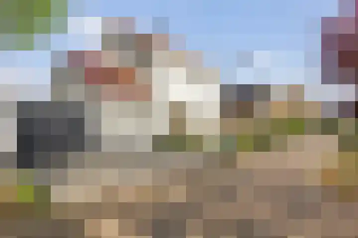 Graaf 40 Echt thumbnail 5