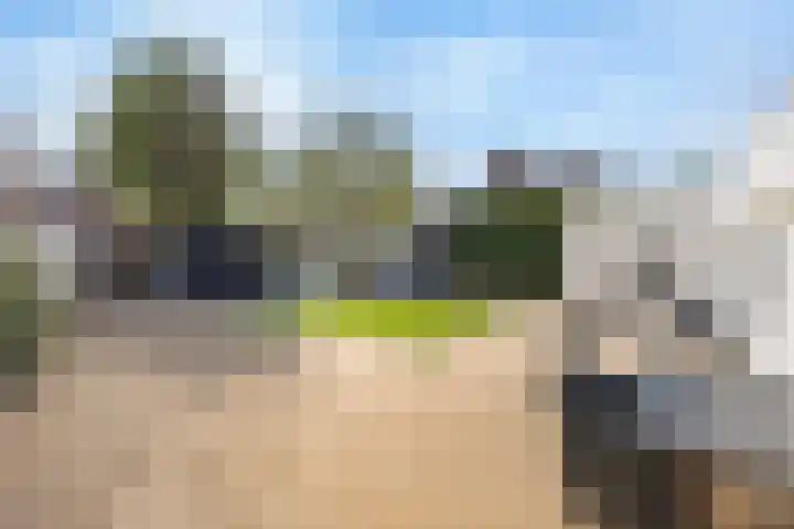 Graaf 40 Echt thumbnail 50