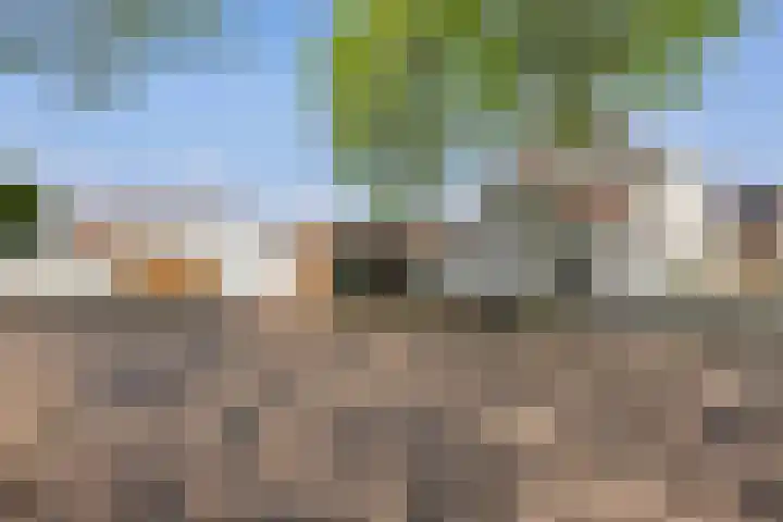 Graaf 40 Echt thumbnail 55