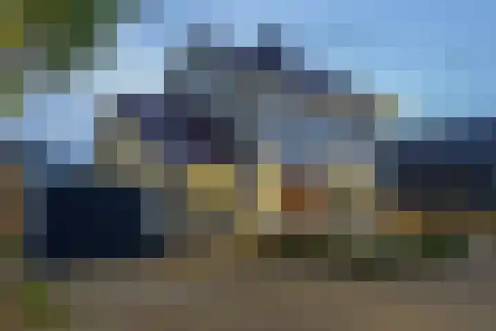 Graaf 40 Echt thumbnail 6