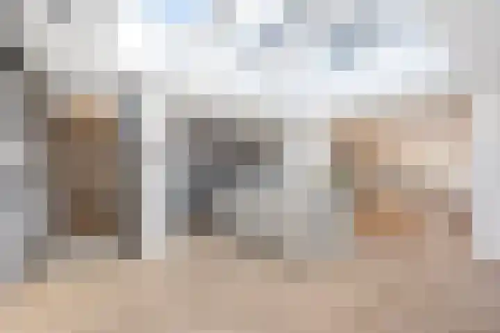 Graaf 40 Echt thumbnail 9
