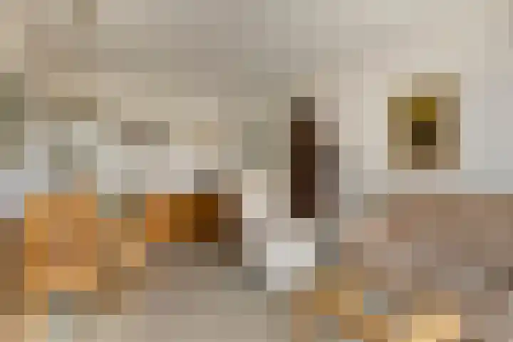 Graaf Adolfstraat 21 Eindhoven thumbnail 10